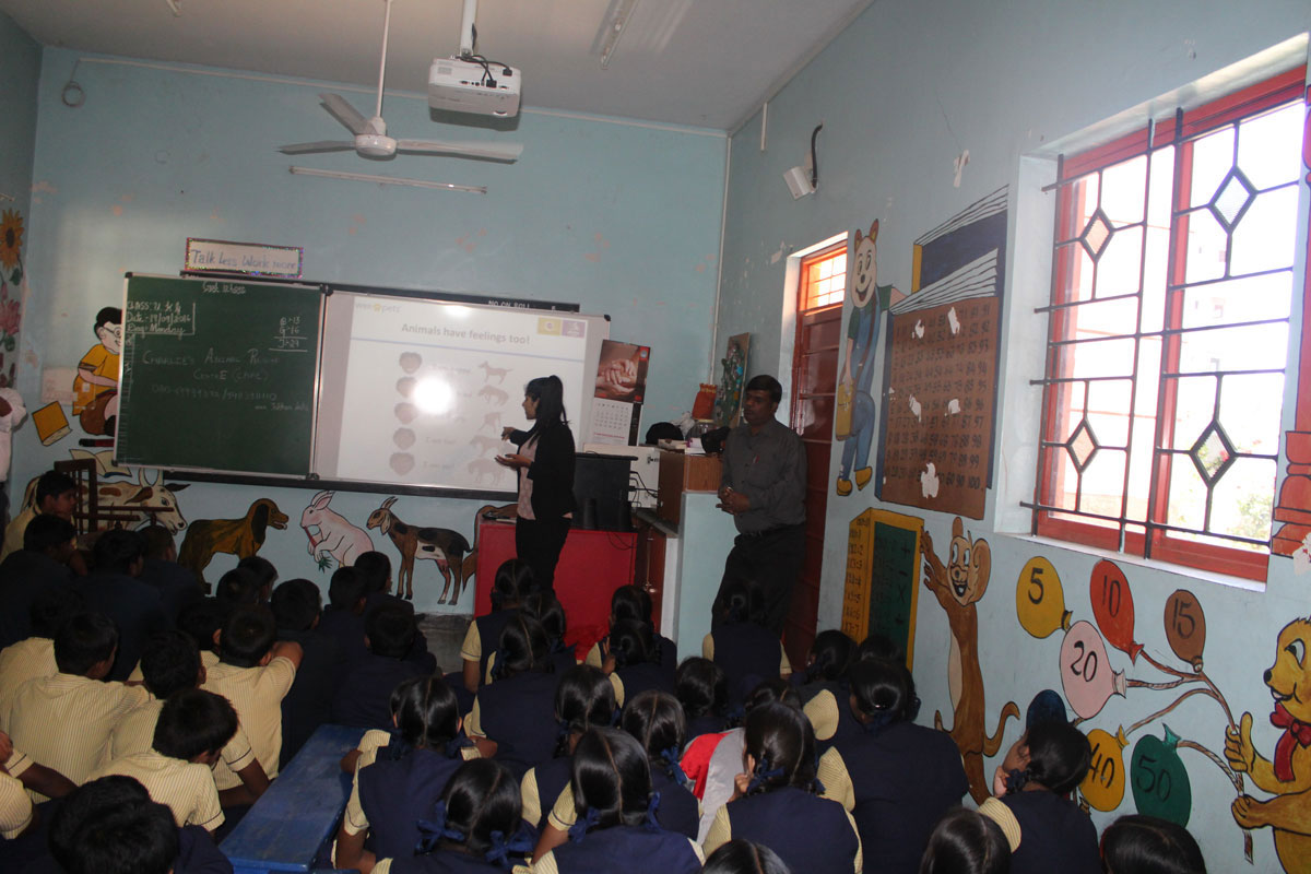 Oriental School
